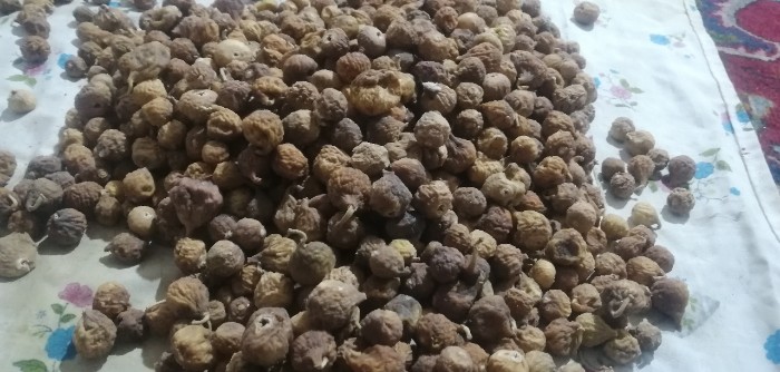 تصویر 3 از قیمت خرید انجیر صنعتی و ضایعات + فروش ویژه
