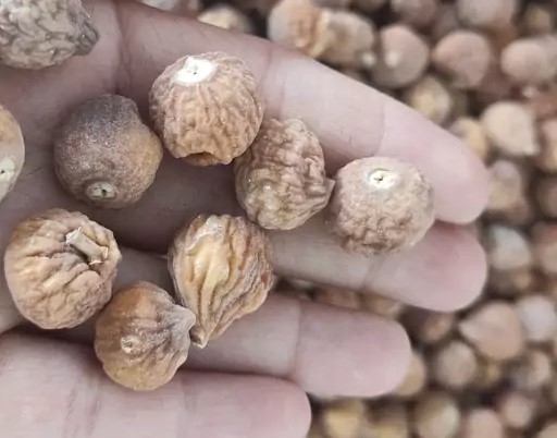 تصویر 2 از قیمت خرید انجیر صنعتی و ضایعات + فروش ویژه
