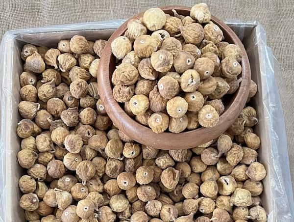 قیمت خرید انجیر صنعتی و ضایعات + فروش ویژه