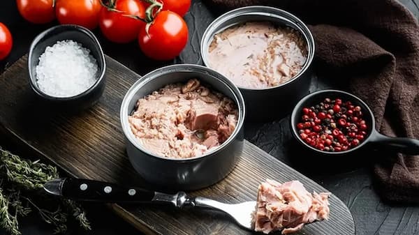تصویر 3 از قیمت تن ماهی شهلا تن + خرید باور نکردنی