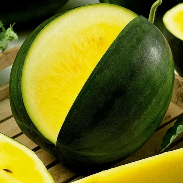 تصویر 1 از خرید و قیمت هندوانه طلایی ارگانیک + فروش عمده