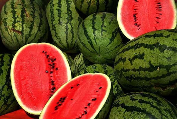 تصویر 3 از خرید هندوانه سبز پررنگ + قیمت فروش استثنایی