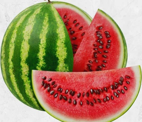 تصویر 2 از خرید هندوانه سبز پررنگ + قیمت فروش استثنایی