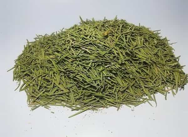 تصویر 5 از قیمت رزماری خشک شده + خرید باور نکردنی