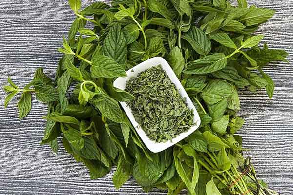 قیمت خرید مخلوط سبزیجات معطر با فروش عمده