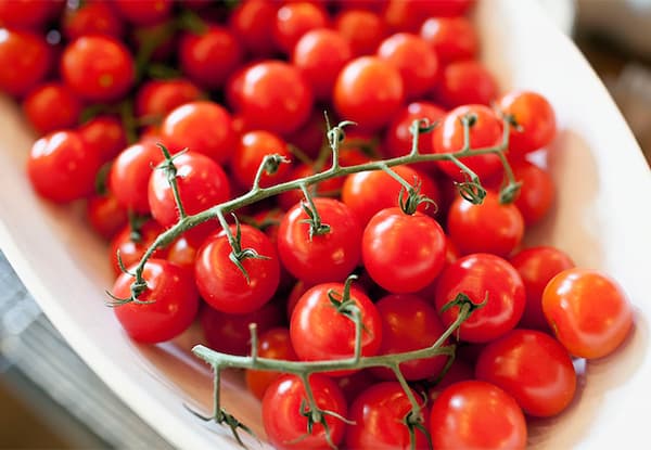 تصویر 1 از گوجه‌ فرنگی آلویی + شرایط فوق‌ العاده