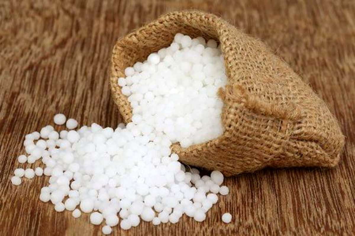 تصویر 2 از قیمت کیسه کود کشاورزی + خرید باور نکردنی