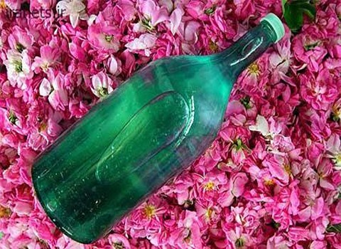 تصویر 3 از خرید گلاب ممتاز قمصر کاشان + قیمت فروش استثنایی