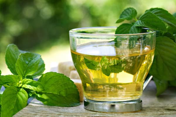 تصویر 2 از قیمت خرید معجون چای کاشان + فروش ویژه