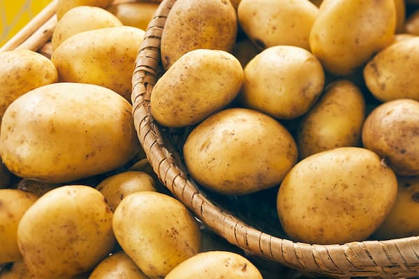 تصویر 5 از قیمت سیب زمینی سیفرا با کیفیت ارزان + خرید عمده