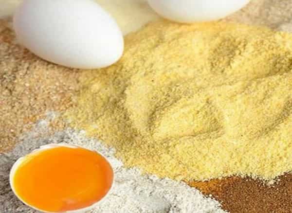تصویر 5 از فروش پودر زرده تخم مرغ + قیمت خرید به صرفه