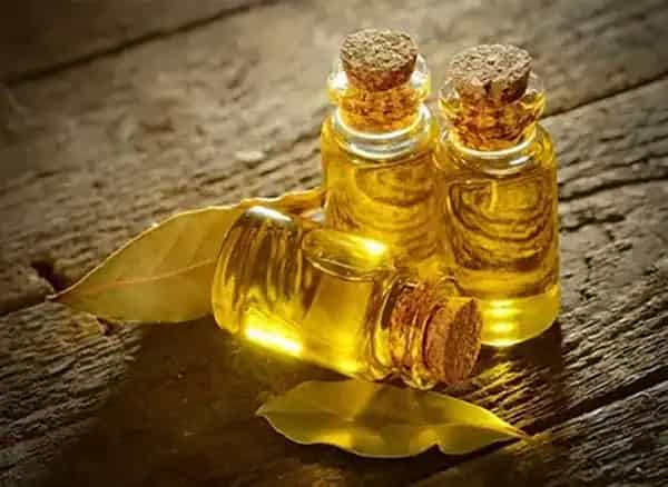 خرید و قیمت روغن پوست مرغ خوراکی + فروش عمده