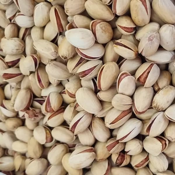 تصویر 1 از قیمت پسته کله قوچی صادراتی + خرید باور نکردنی