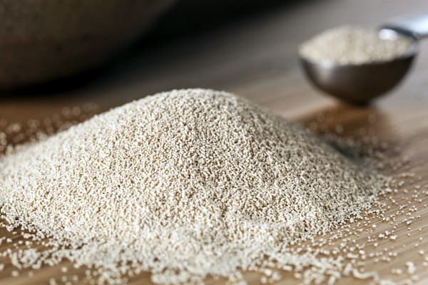 خرید و فروش خمیر مایه تازه با شرایط فوق العاده