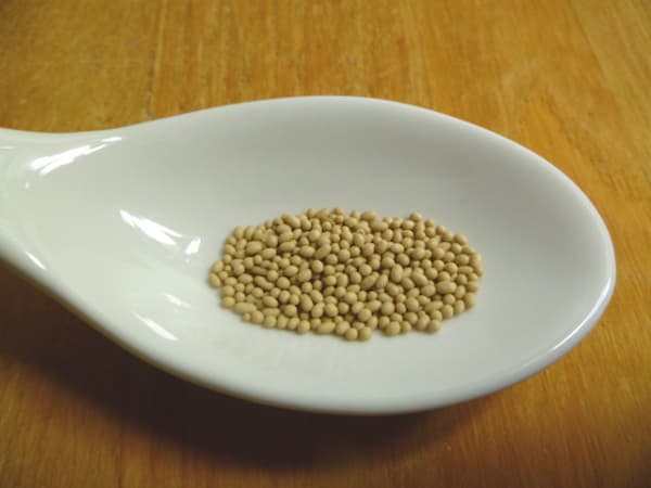 تصویر 5 از خرید و فروش خمیر مایه تازه با شرایط فوق العاده