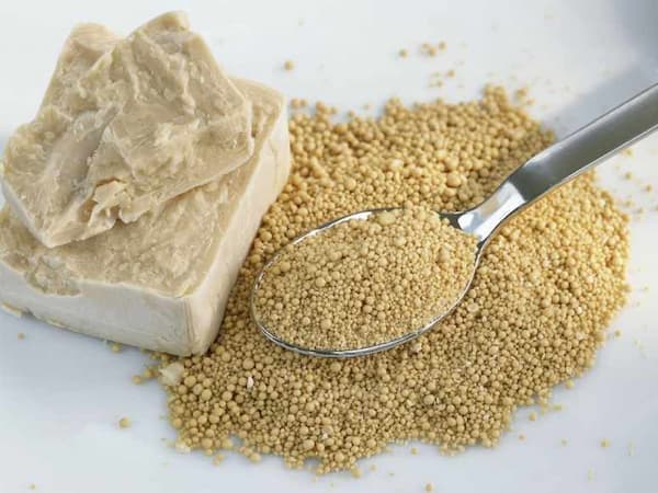 تصویر 2 از خرید و فروش خمیر مایه تازه با شرایط فوق العاده