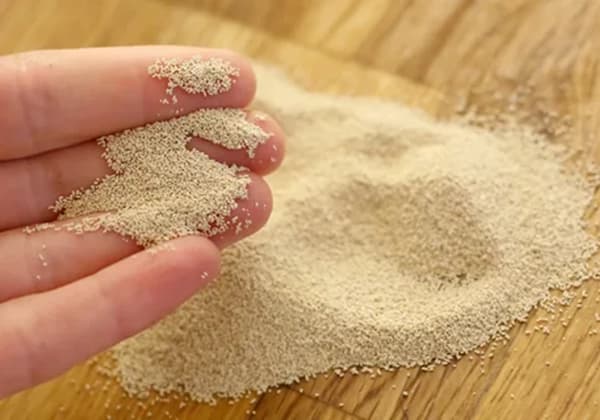 تصویر 3 از قیمت خمیر مایه ۱۰۰ گرمی رضوی با کیفیت ارزان + خرید عمده