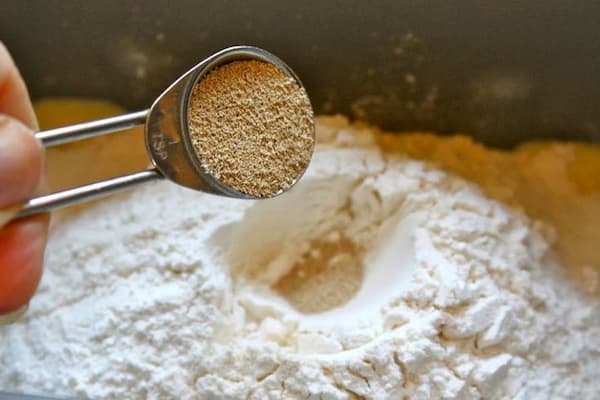 تصویر 4 از قیمت خرید خمیر مایه ۵۰۰ گرمی رضوی  + فروش ویژه