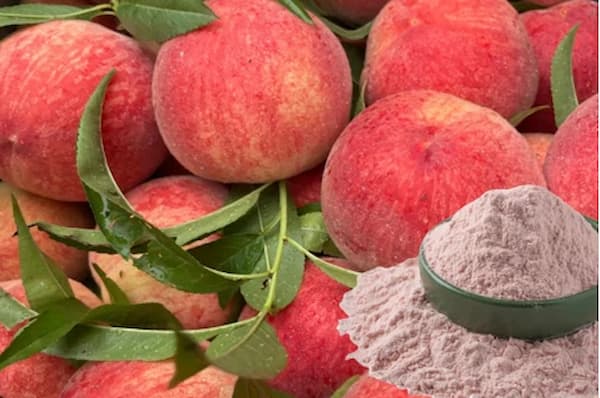 فروش پودر میوه هلو + قیمت خرید به صرفه