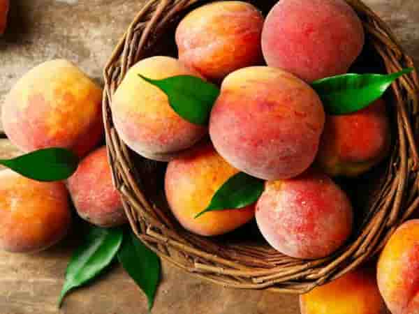 تصویر 1 از فروش پودر میوه هلو + قیمت خرید به صرفه
