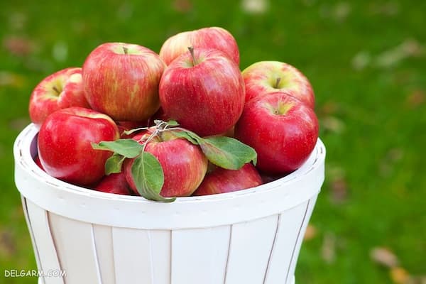 تصویر 5 از فروش سیب سرخ تاره + قیمت خرید به صرفه