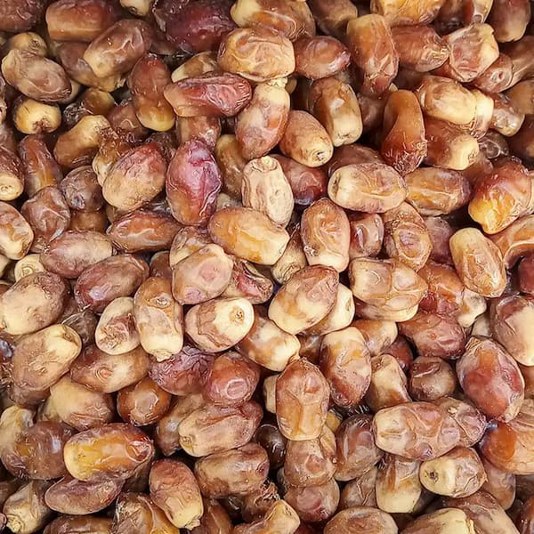 تصویر 1 از خرید و قیمت خرما زاهدی صادراتی + فروش عمده