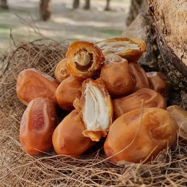 تصویر 2 از خرید و قیمت خرما زاهدی صادراتی + فروش عمده