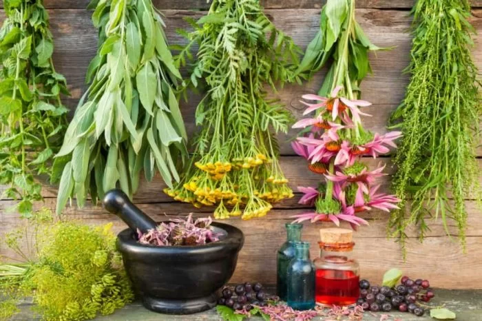 تصویر 4 از خرید گلنار گیاه دارویی + قیمت فروش استثنایی
