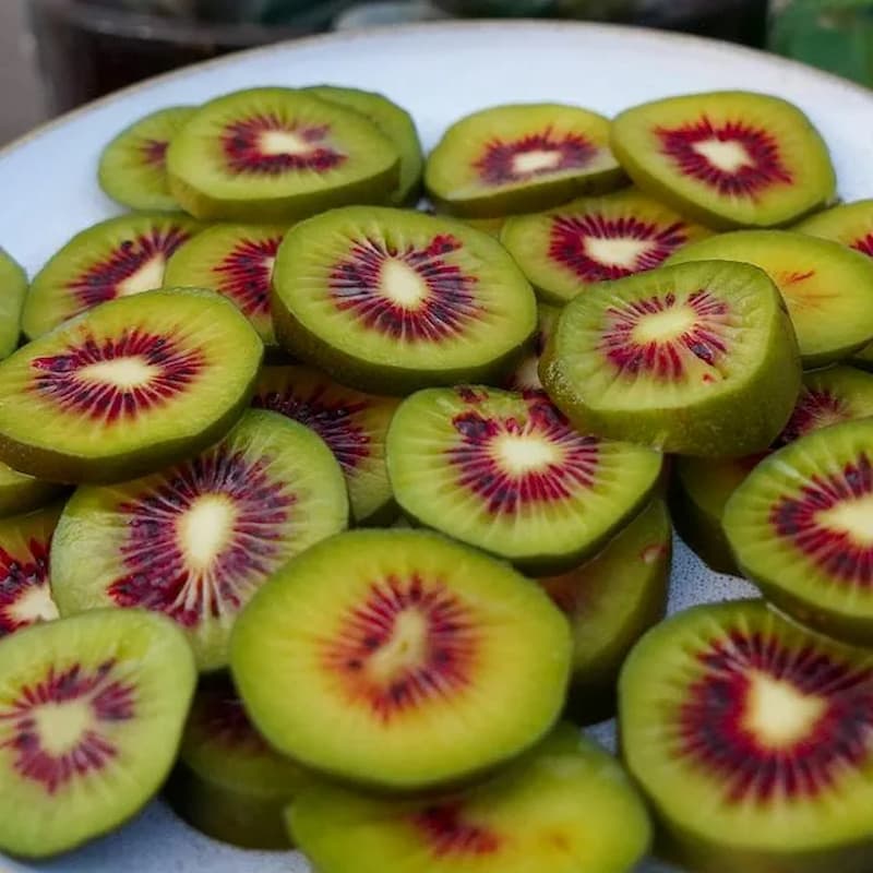 قیمت خرید کیوی هایوارد قرمز + فروش ویژه
