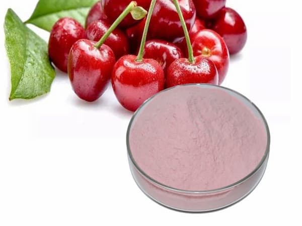 تصویر 1 از فروش پودر شربت آلبالو + قیمت خرید به صرفه