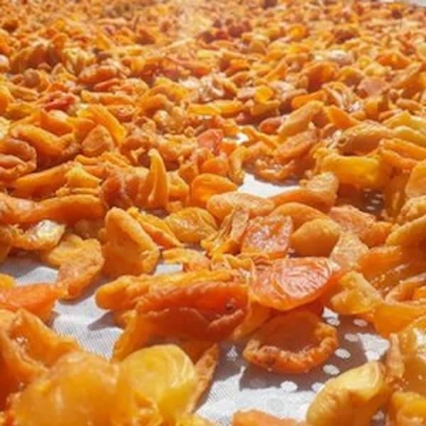 تصویر 3 از قیمت خرید برگه زردآلو خشک با فروش عمده