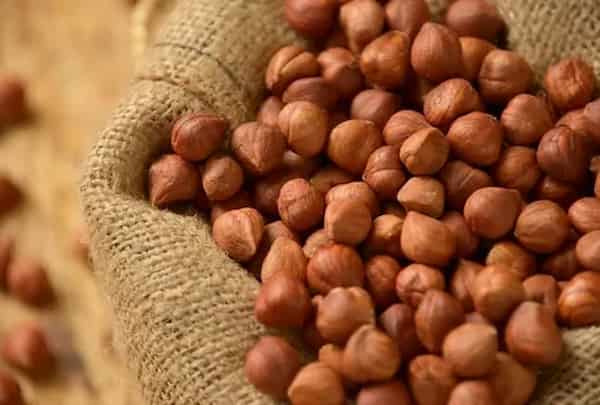 تصویر 5 از خرید و قیمت فندق شور بوداده + فروش عمده