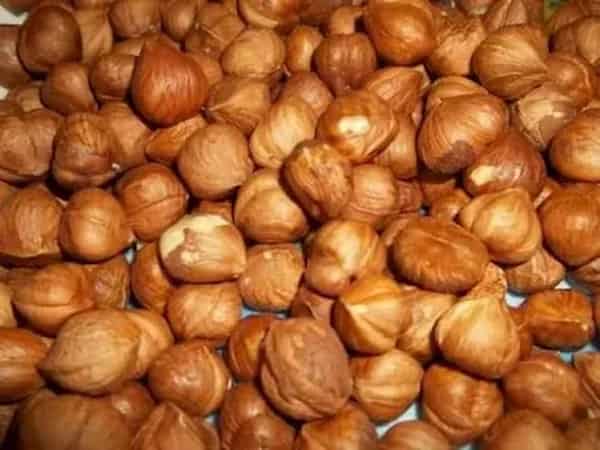 تصویر 4 از خرید و قیمت فندق شور بوداده + فروش عمده