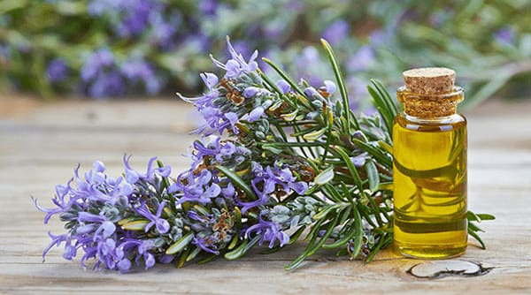 تصویر 5 از راهنمای خرید روغن بنفشه اصل + قیمت عالی