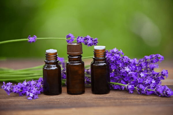 تصویر 4 از راهنمای خرید روغن بنفشه اصل + قیمت عالی