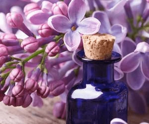 تصویر 1 از راهنمای خرید روغن بنفشه اصل + قیمت عالی