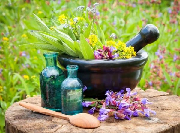 تصویر 5 از خرید و قیمت عرق کاسنی درجه یک + فروش عمده