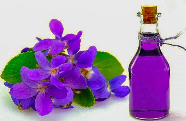 تصویر 2 از قیمت روغن بنفشه ارگانیک + پخش تولیدی عمده کارخانه
