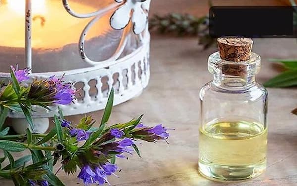 تصویر 3 از قیمت خرید عرق کاسنی دو آتیشه عمده به صرفه و ارزان