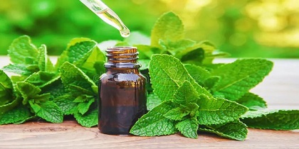 تصویر 4 از قیمت خرید عرق نعنا درجه یک + فروش ویژه