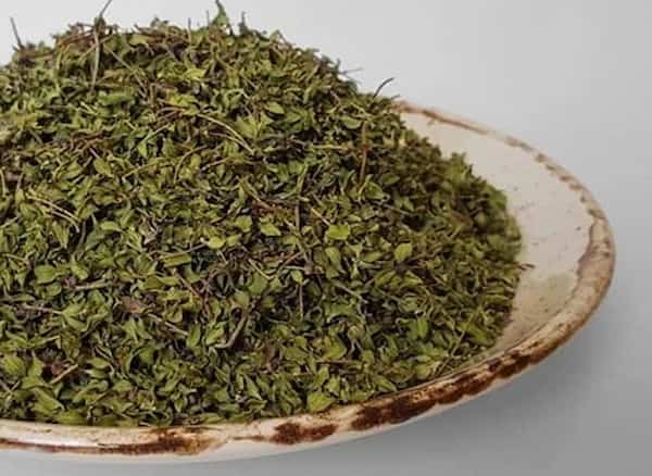 قیمت آویشن کوهی خشک با کیفیت ارزان + خرید عمده