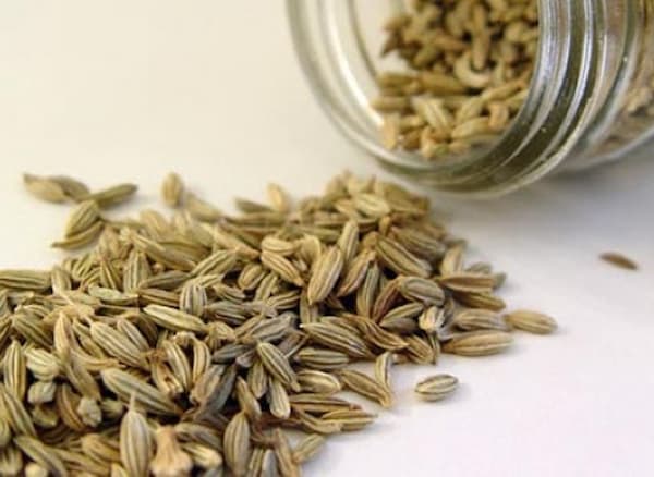 تصویر 3 از خرید گیاه دارویی رازیانه + قیمت فروش استثنایی