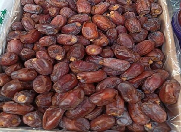 تصویر 5 از قیمت خرما کلوته بم + خرید باور نکردنی