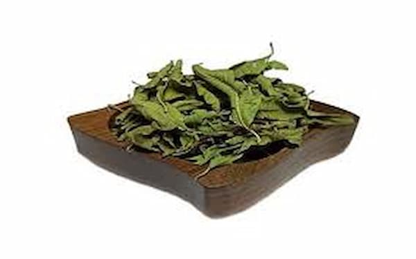 تصویر 2 از خرید و قیمت گیاه دارویی به لیمو + فروش عمده