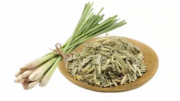 تصویر 3 از فروش گیاه دارویی بادرنجبویه + قیمت خرید به صرفه