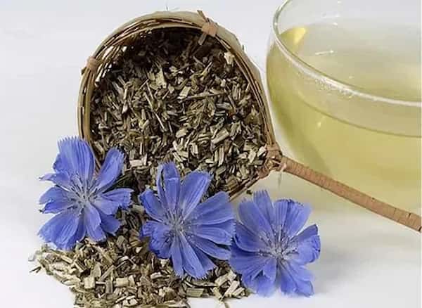 فروش عرق کاسنی پامچال + قیمت خرید به صرفه