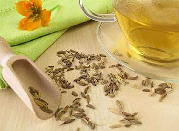 تصویر 3 از قیمت خرید عرق زنیان پامچال با فروش عمده