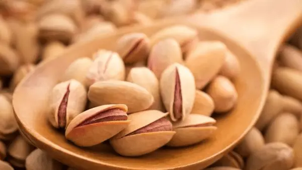 تصویر 1 از معرفی پسته خندان کله قوچی + بهترین قیمت خرید