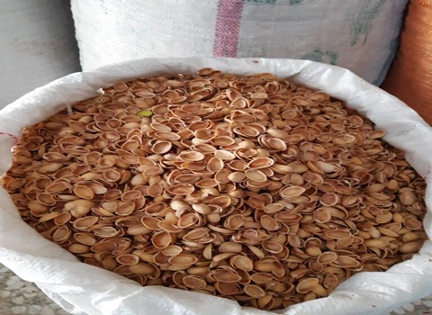 تصویر 2 از قیمت پوست پسته استخوانی + خرید باور نکردنی