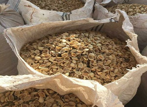 تصویر 3 از قیمت پوست پسته استخوانی + خرید باور نکردنی